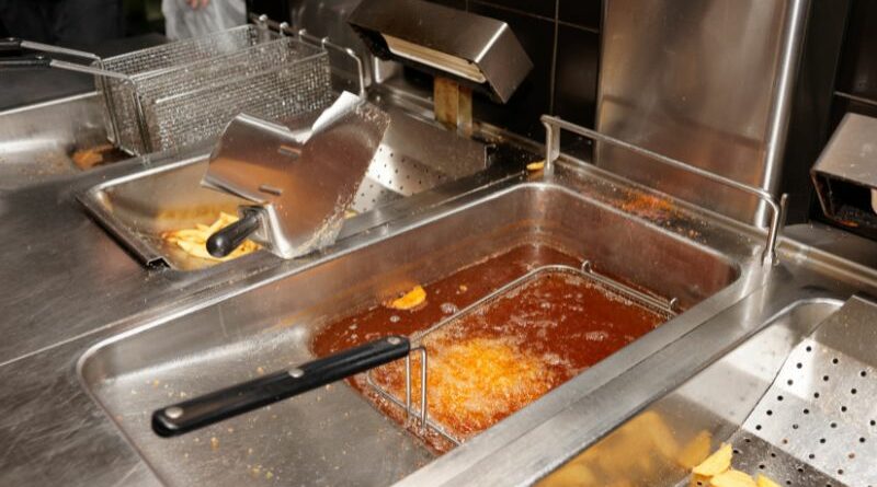 commercial deep fryer for food business